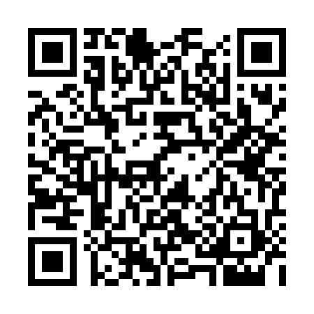 QR code for 7196334