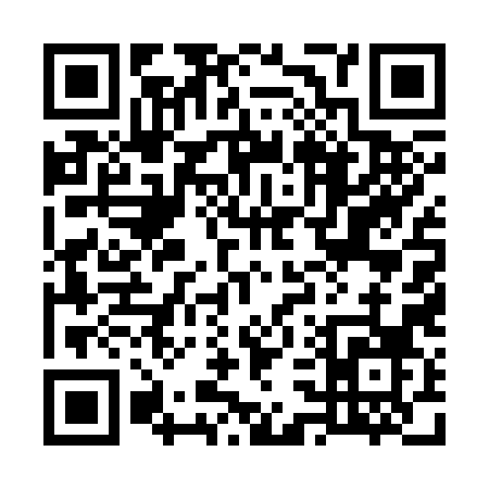QR code for 73538