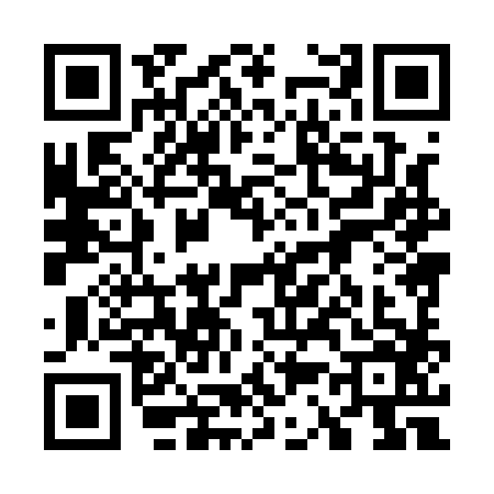 QR code for 7381865