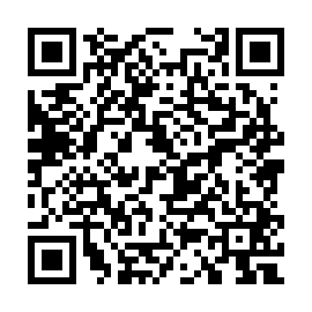 QR code for 7382411
