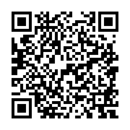 QR code for 7383884