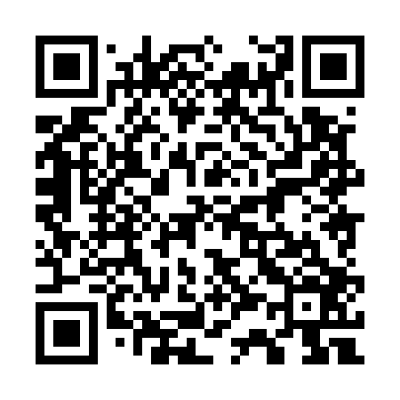 QR code for 738506