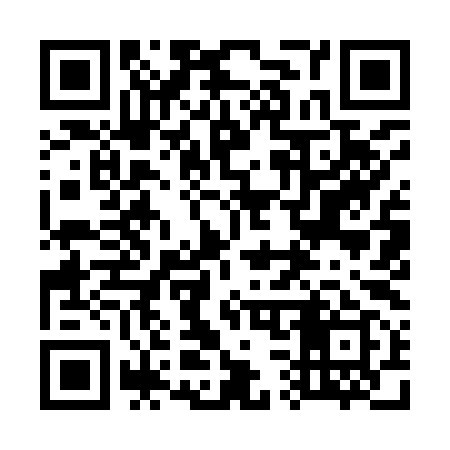 QR code for 739999