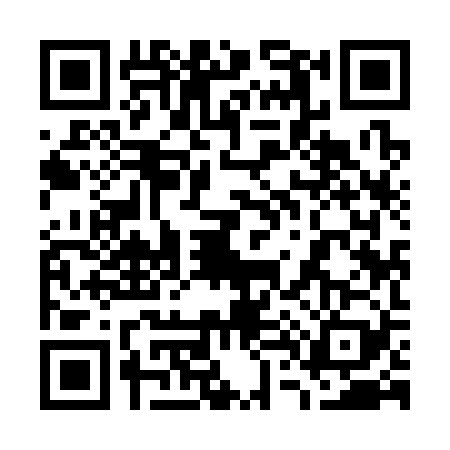 QR code for 7493290