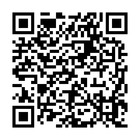 QR code for 75294