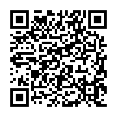 QR code for 75311