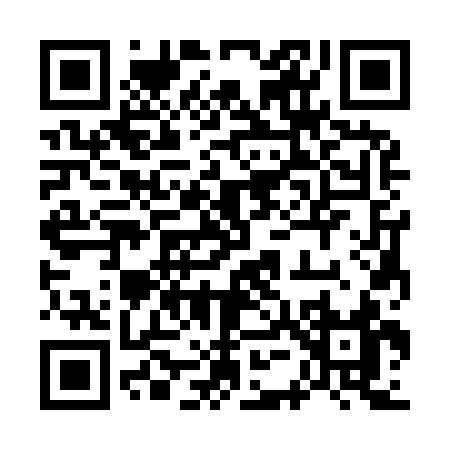 QR code for 75393