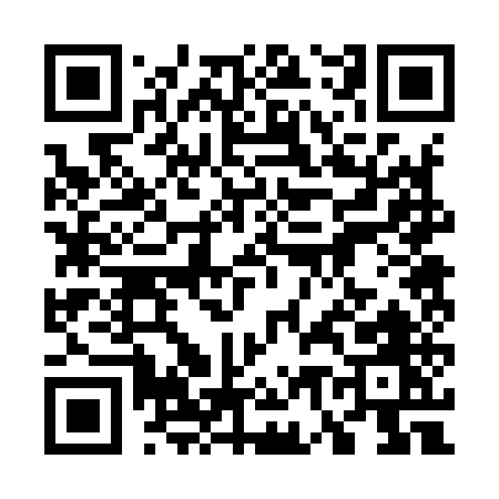 QR code for 77295