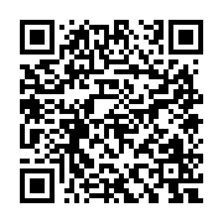 QR code for 78161