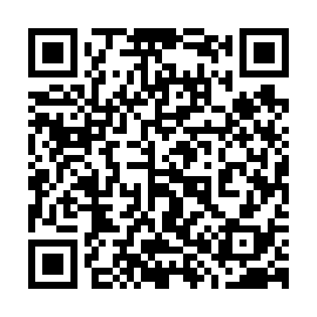 QR code for 785638
