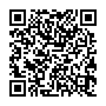QR code for 787333