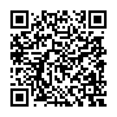 QR code for 78809