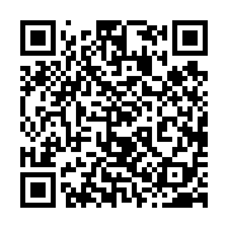 QR code for 800619