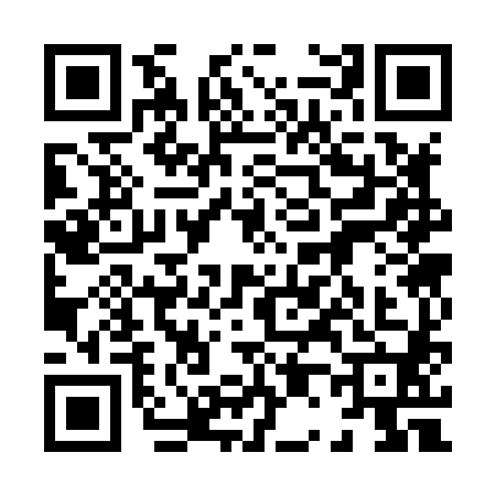 QR code for 8038809