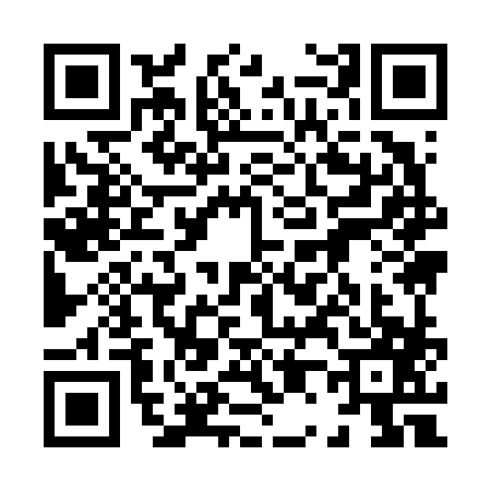 QR code for 8096876