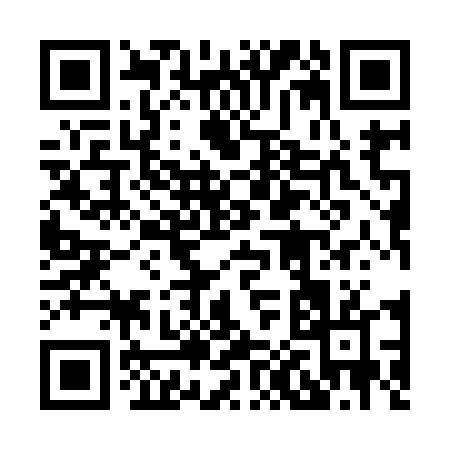 QR code for 80994