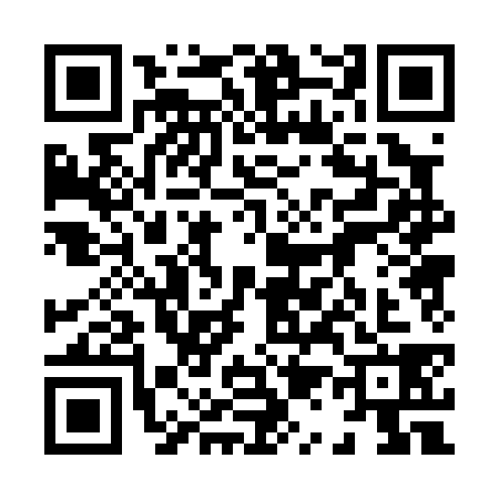 QR code for 8100383