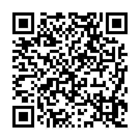 QR code for 81006
