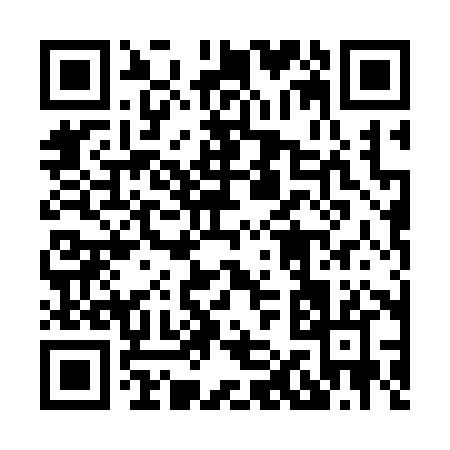 QR code for 81038