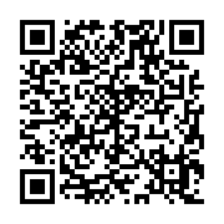 QR code for 81300