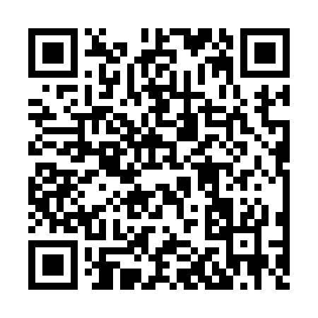 QR code for 81313