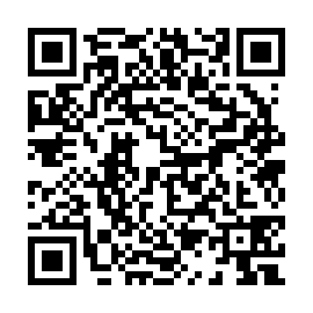 QR code for 8132382