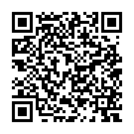 QR code for 8133418