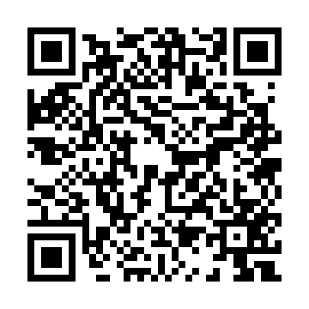 QR code for 8133579