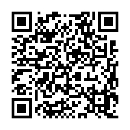 QR code for 81368