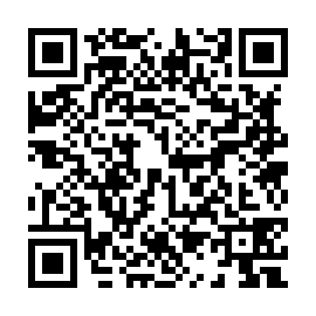 QR code for 8138389