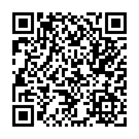 QR code for 81411