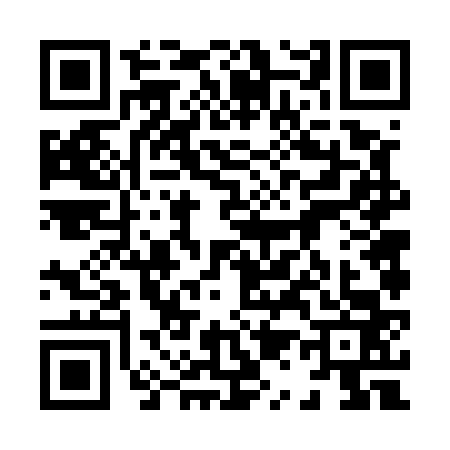 QR code for 8165633