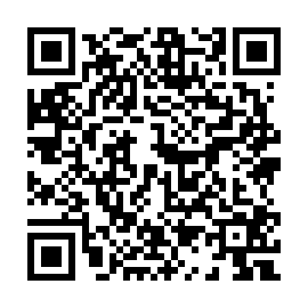 QR code for 8196041