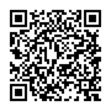 QR code for 8208913
