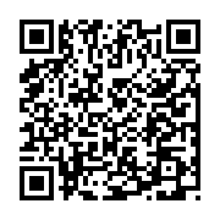 QR code for 8225204