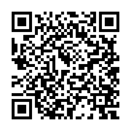 QR code for 8228433
