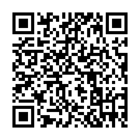 QR code for 82505