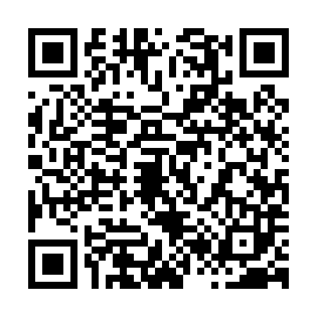 QR code for 8250838