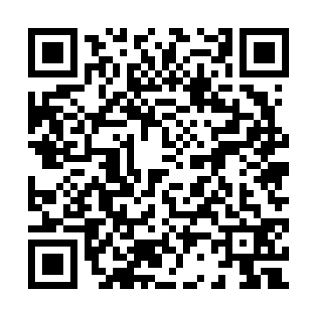 QR code for 8256322
