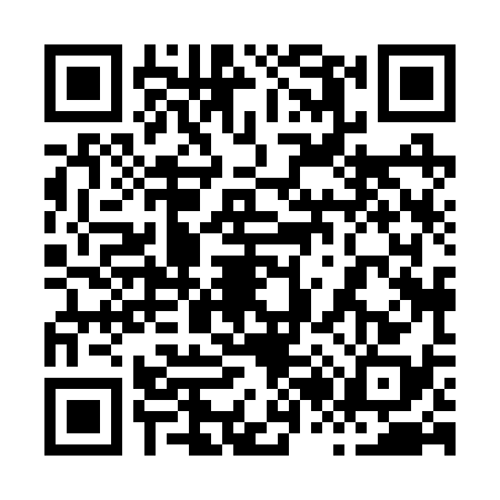 QR code for 8282381