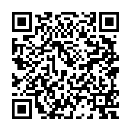 QR code for 8294913