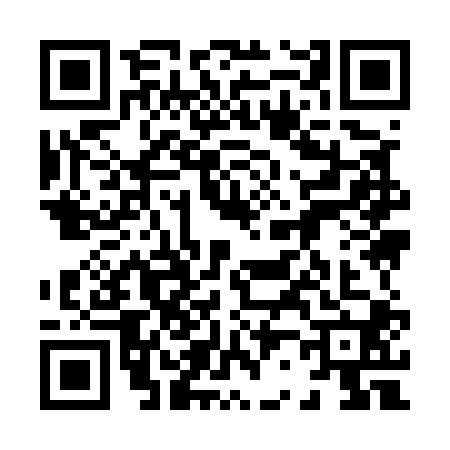 QR code for 8295008