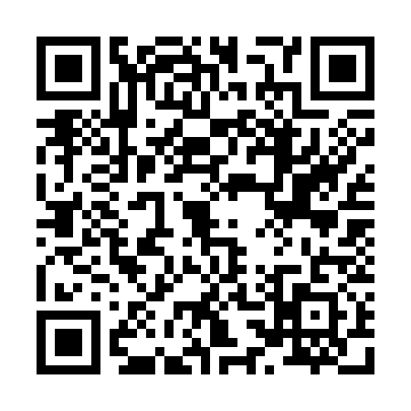 QR code for 8333312