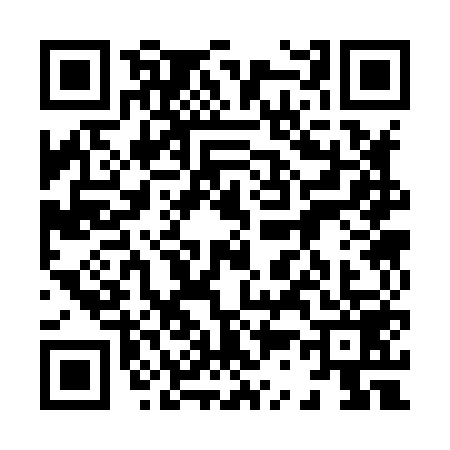 QR code for 8338599