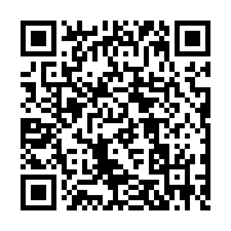 QR code for 85207