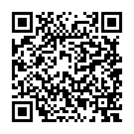 QR code for 8528993
