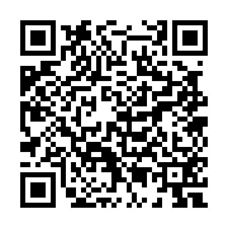 QR code for 8530528