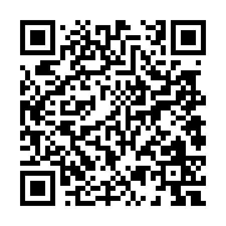 QR code for 85603