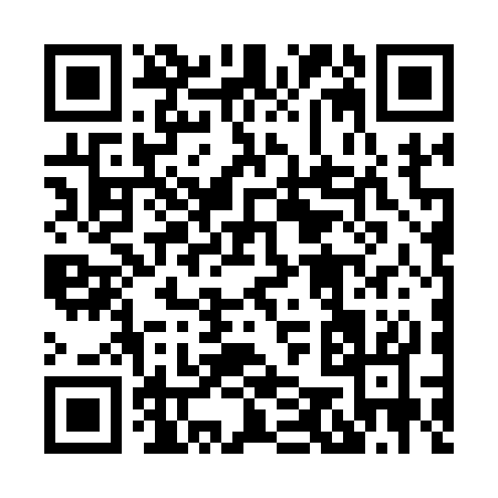QR code for 85613