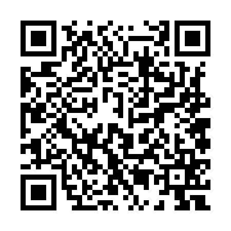 QR code for 8569655